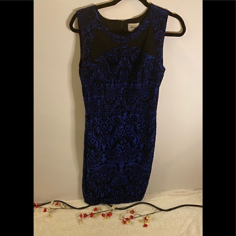 Beige by eci  sleeveless embroidered Dress Size 8